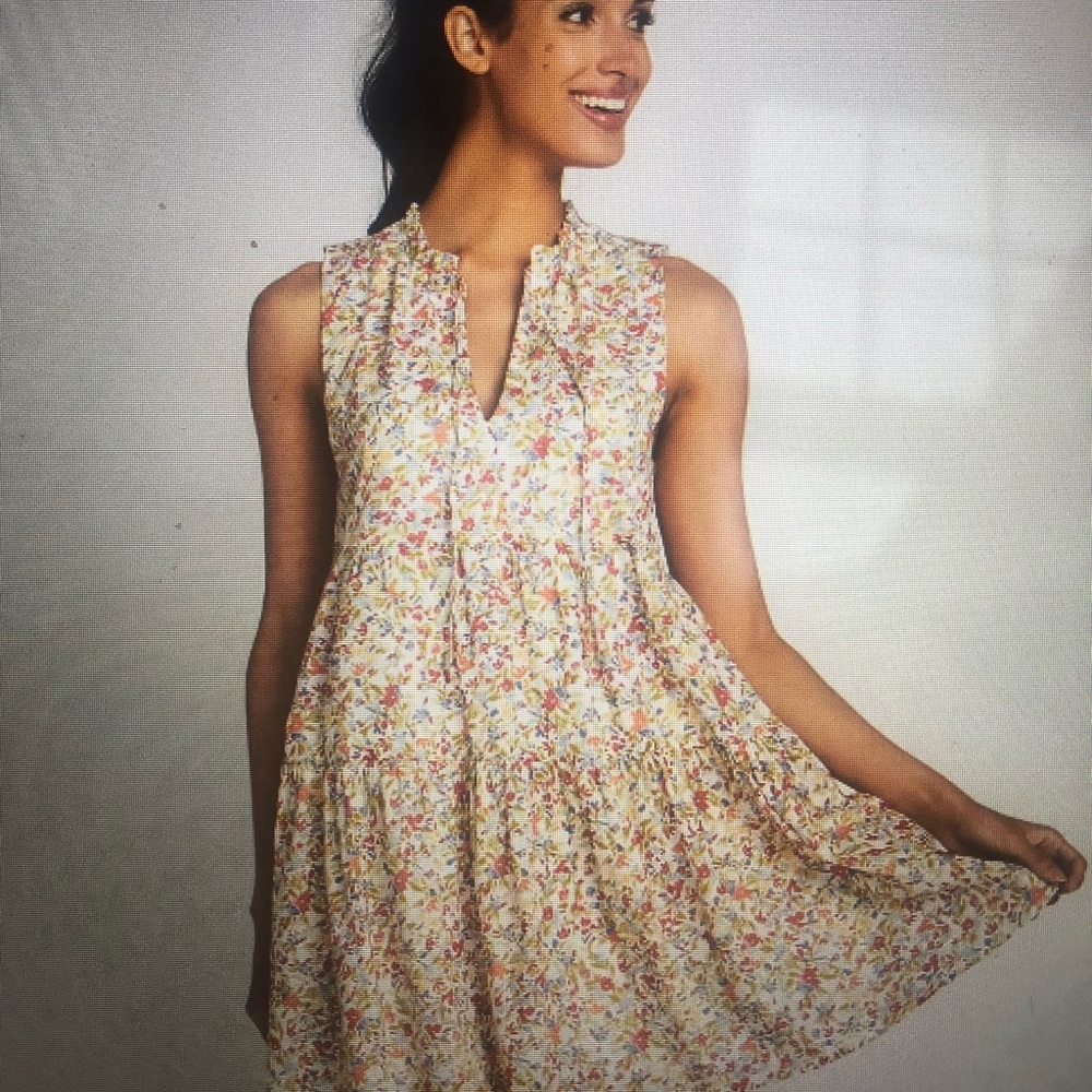 BB Dakota By Steve Madden Frills and Florals Dress.